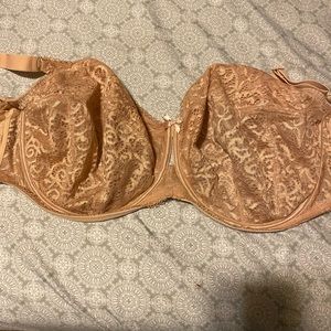 Sculptresse 40H bra new